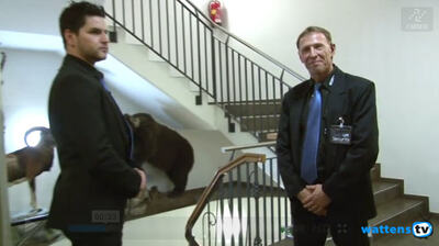 wattens_tv_2.jpg